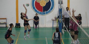 Effe Volley - Andros 3-1