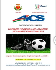 Locandina campionato provinciale calcio a 11 2015-2016