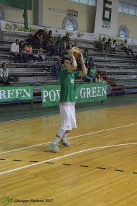 Cacciavillani (Green Basket)