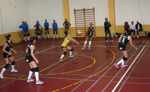 Saracena Volley