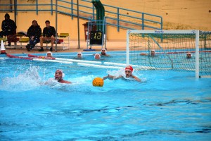 Leones1