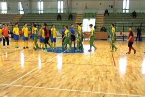 Ingresso in campo
