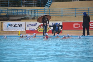 Leones1