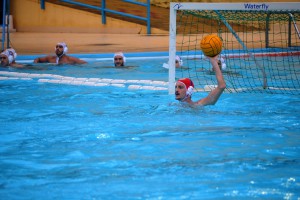 Leones1