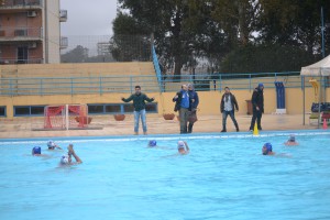 Leones2