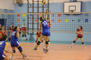 Mg-Acicatena 6