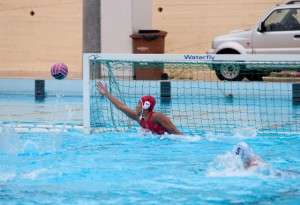WP Despar Messina