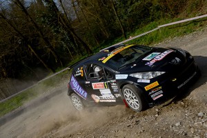 Andrea Nucita, Giuseppe Princiotto (Peugeot 207 S2000 #5, Phoenix)