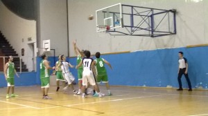 Gulletta in azione