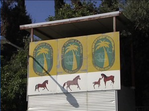 Ad ospitare l'iniziale è il club ippico "La Palma" di Messina