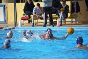 Leones1