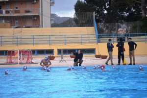Leones1