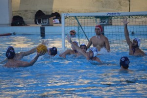 Fase di gioco(1)