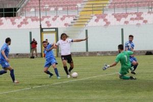 Corona in azione (foto Paolo Furrer)