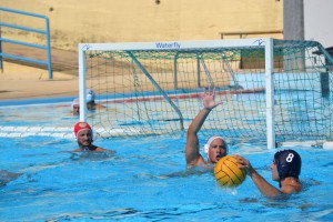 Leones