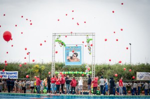 PISKEO 2014 1