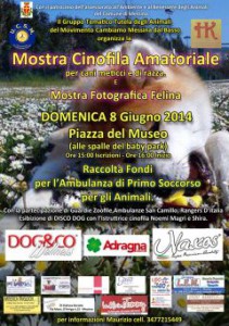 locandinafondianimali