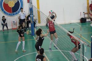Mucciola in azione