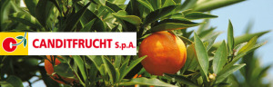 Logo Canditfrucht