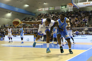 Archie in azione - foto Roberta Fazio
