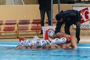 WP Messina