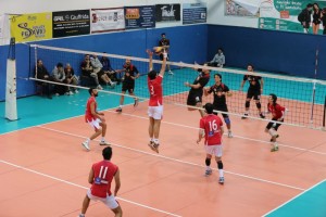 IMG_0841_800x533