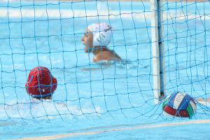 WP Messina