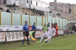 Cane aggancia la sfera 