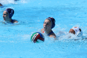 WP Despar Messina