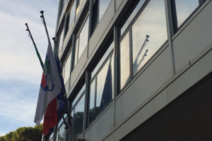 Procura Federale