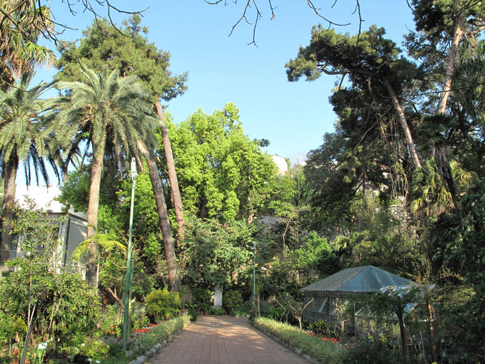 L'orto botanico di Messina