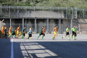Ingresso in campo