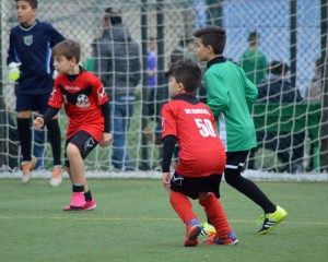 Memorial Tracuzzi