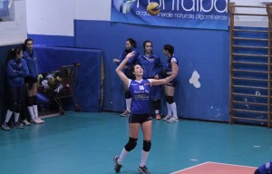 Angelica Erba