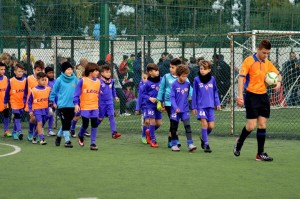 Memorial Dari Tracuzzi
