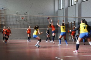 La Messana Tremonti in azione