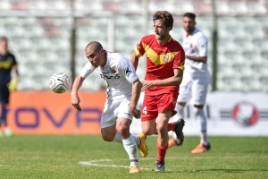 Baccolo