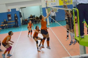 Simona Gambadoro