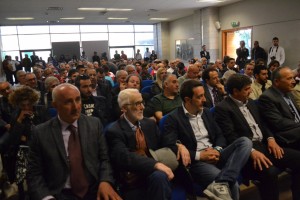 Folta platea