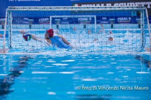 WP Messina