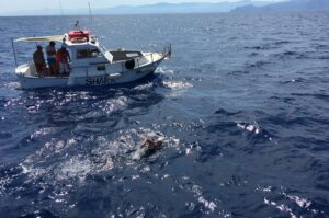 Traversata dello Stretto