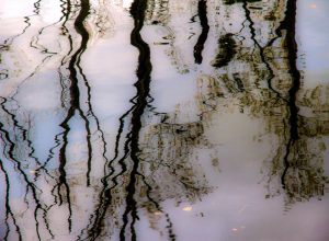 Pina Inferrera