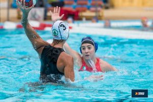 pallanuoto