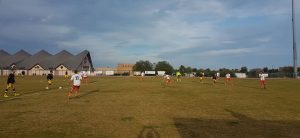 Promozione