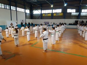 Shorinji Kempo