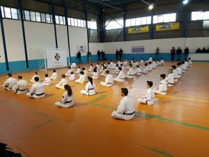 Shorinji Kempo