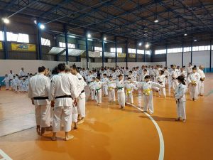 Shorinji Kempo