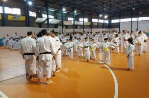 Shorinji Kempo
