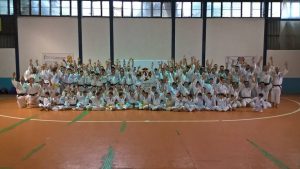 Shorinji Kempo