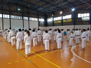 Shorinji Kempo